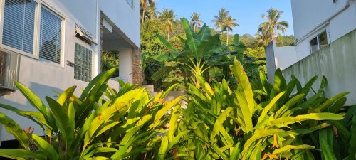76f41390-e8ff-4de2-b7b6-3e88a3856ab6